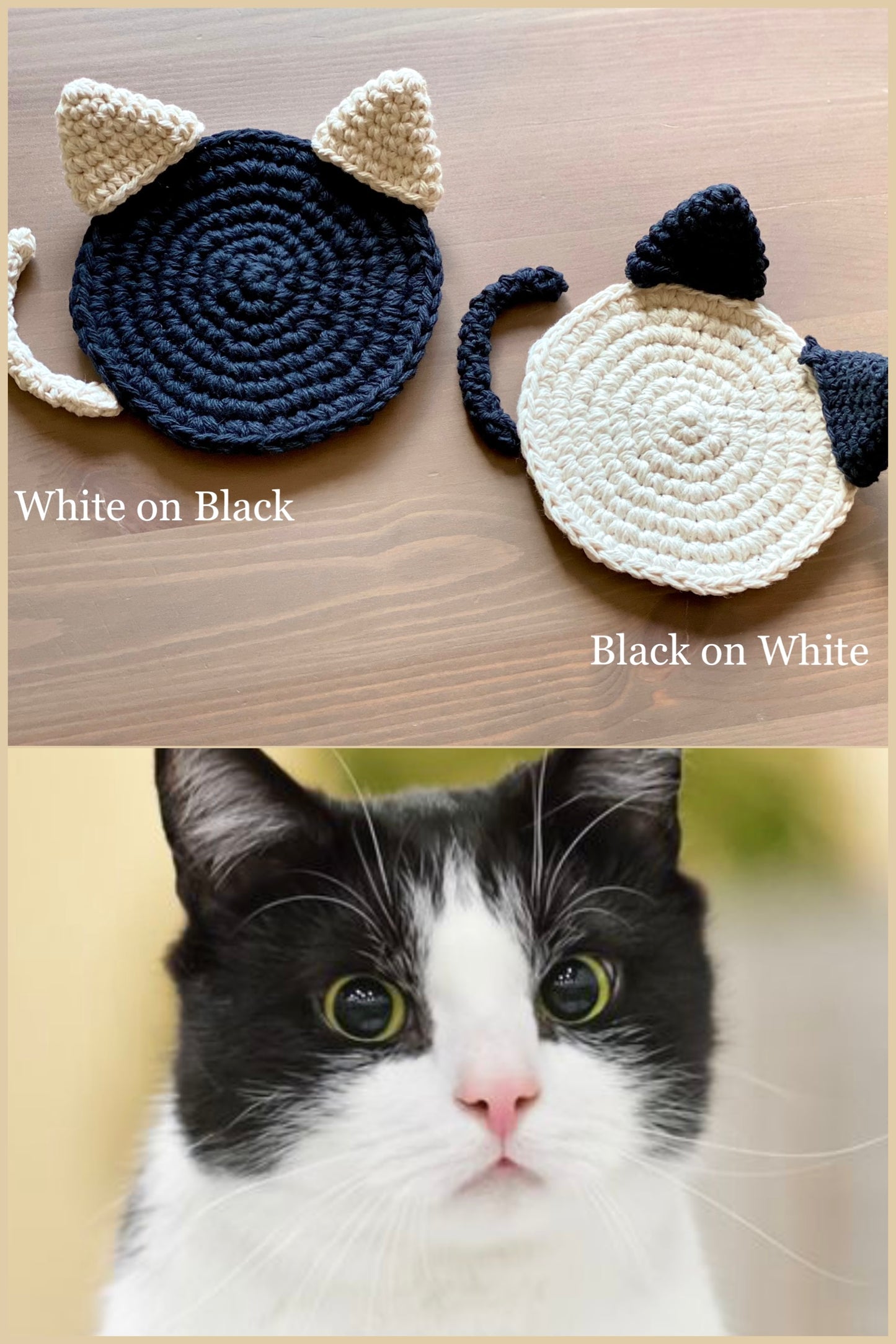 Minimalist Two-Tone Cat Coasters - Set of 2