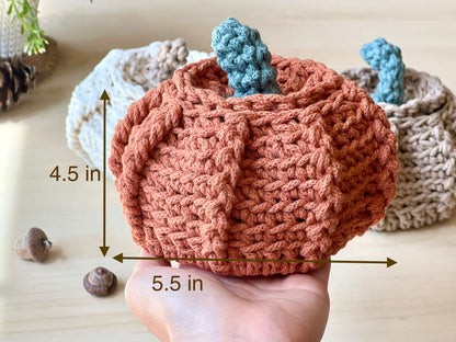 Pumpkin Basket Crochet Pattern - Instant Download PDF